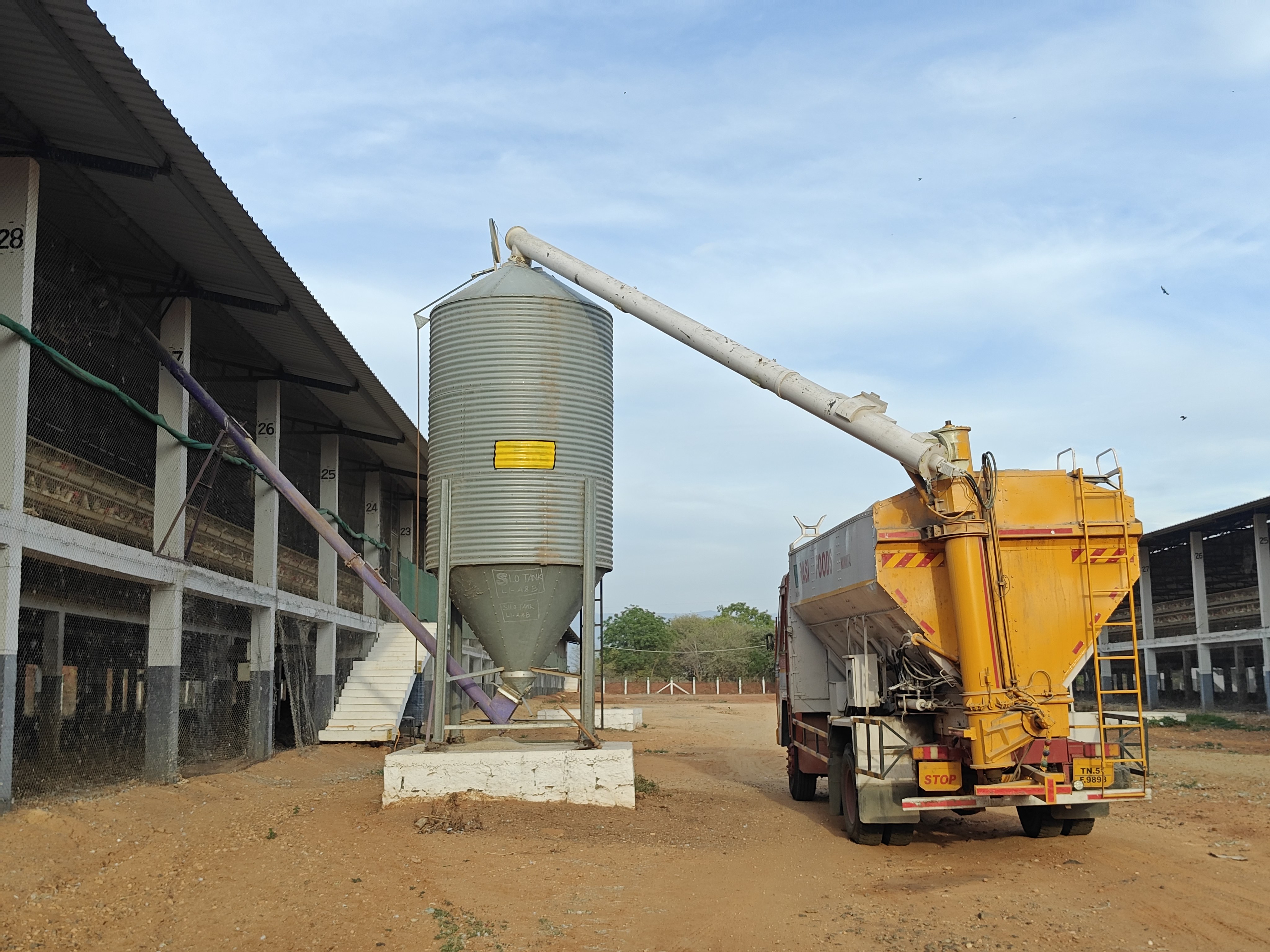 Bulk Feed Silo and Vehicle Loading Port